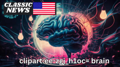 clipart:ee-zgj_h1oc= brain