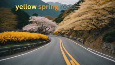 Yellow Spring Road