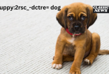 puppy:2rsc_-dctre= dog