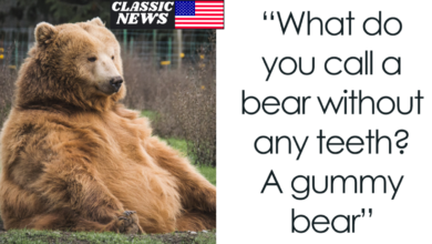 Bear jokes for kids