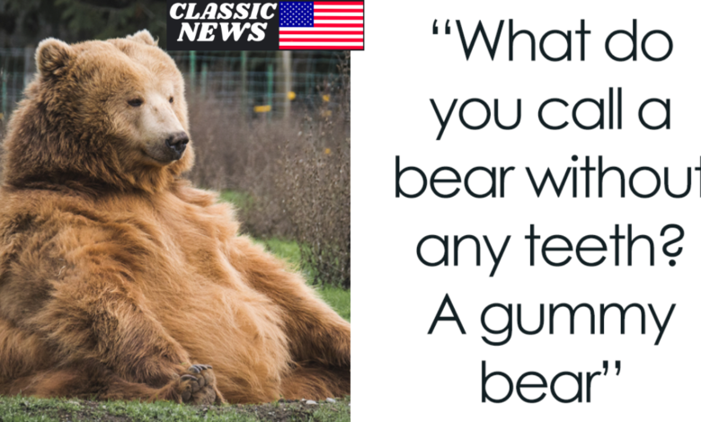 Bear jokes for kids