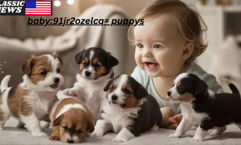 baby:91jr2ozelcq= puppys