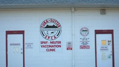 Yuba city spca vaccinations